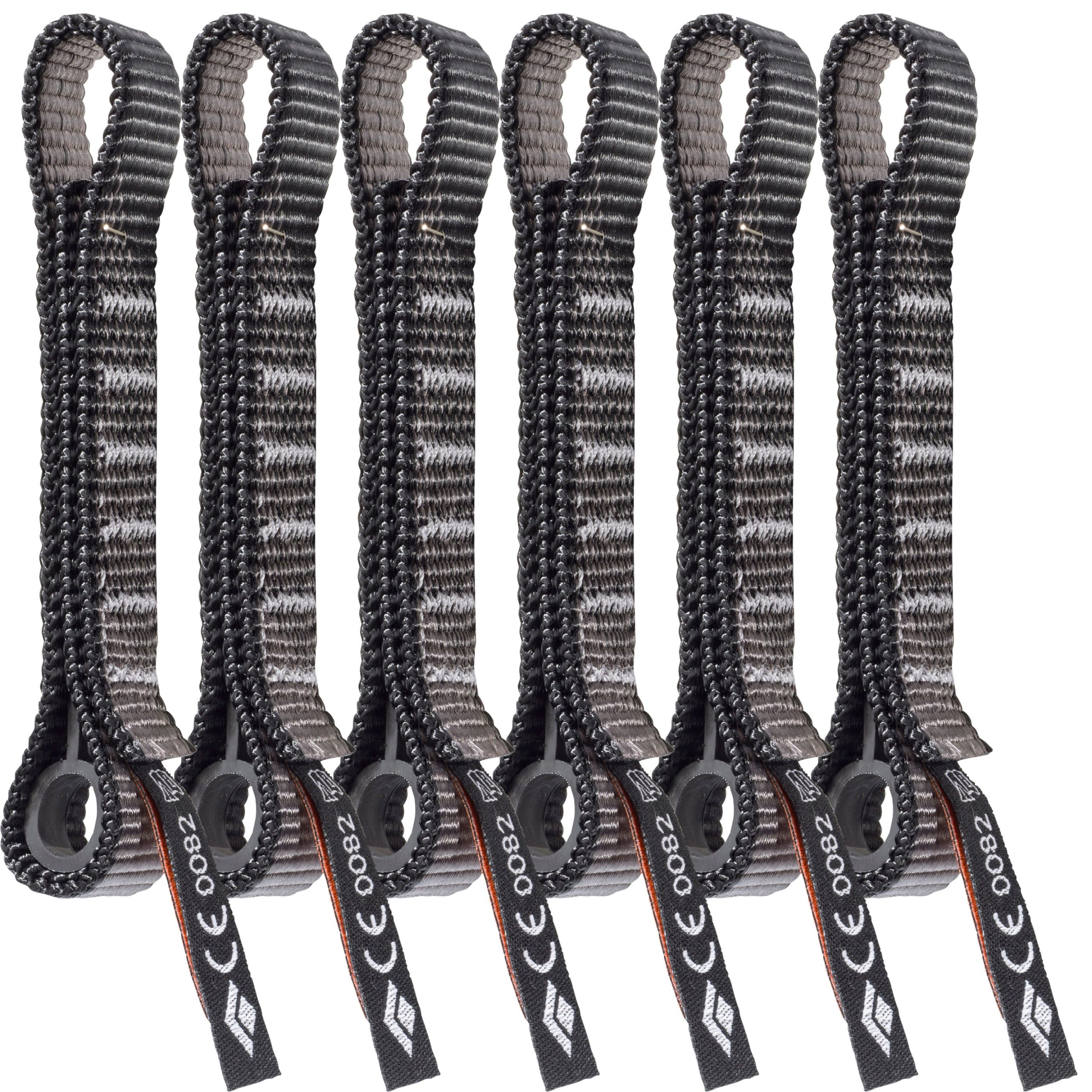 Standard Dogbone 12 cm 6 Pack